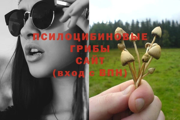 винт Куйбышев