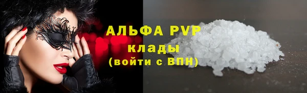 прущие грибы Кострома