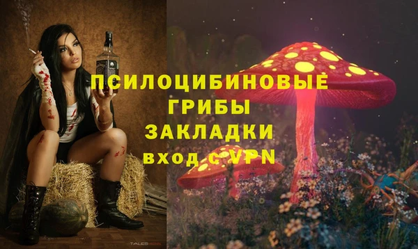 стафф Кулебаки