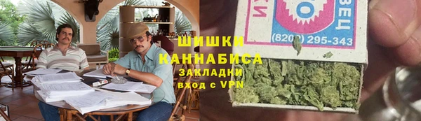 стафф Кулебаки