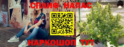 крисы Ипатово