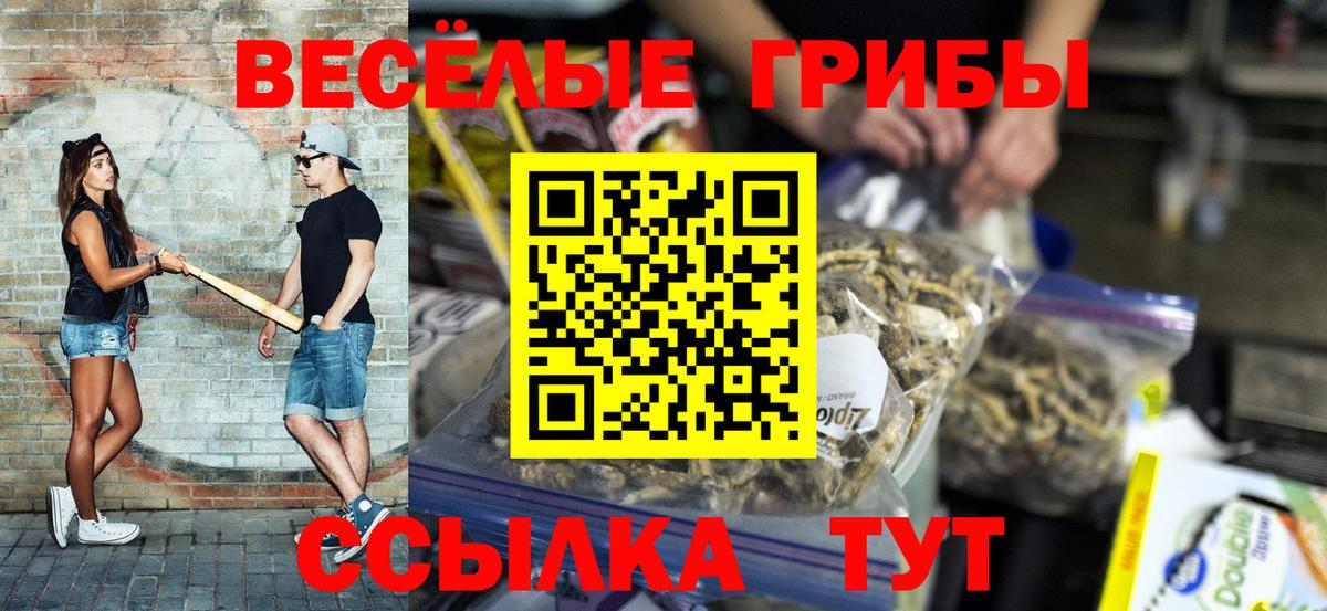 Псилоцибиновые грибы Psilocybe  Урай 